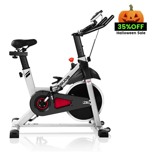 YOSUDA YB001R Magnetic Exercise Bike