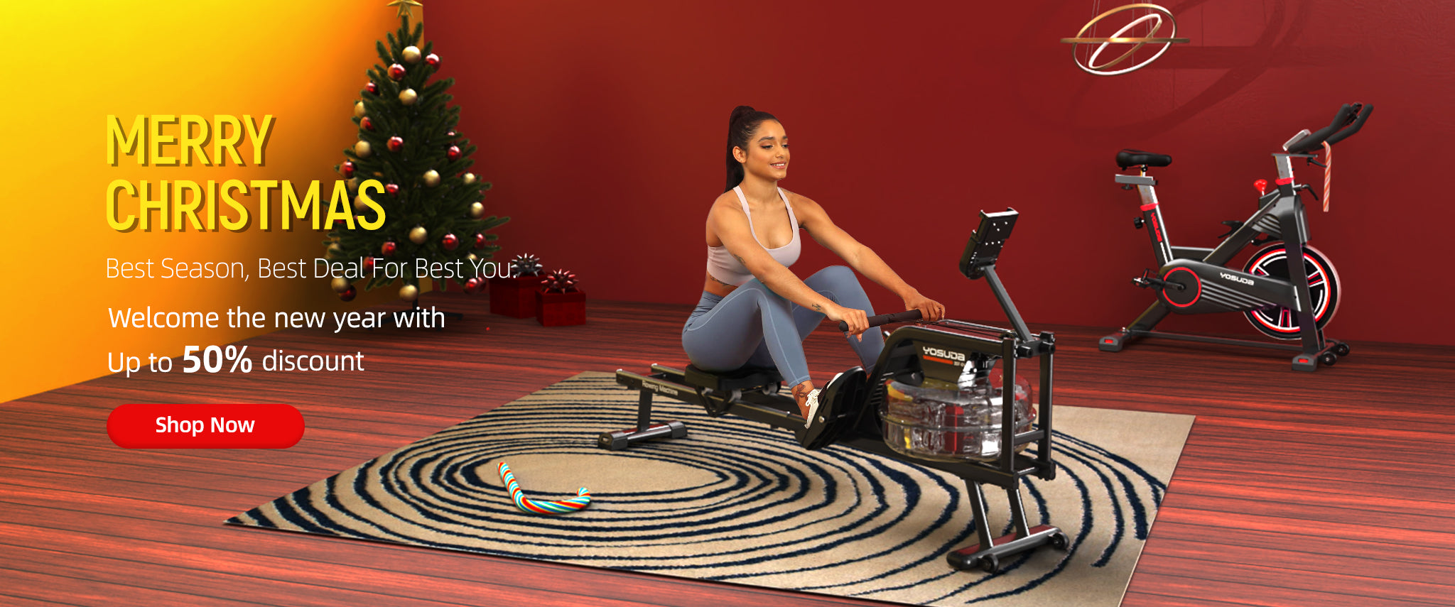 YOSUDA Indoor Exercise Bikes Rowing Machine Elliptical for Home Gym Yosuda Bikes